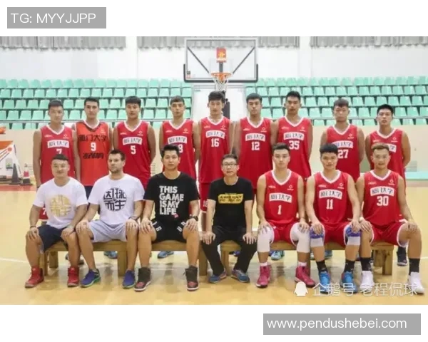 杭州排球队团队协作的独特优势与其他球队的深度对比分析